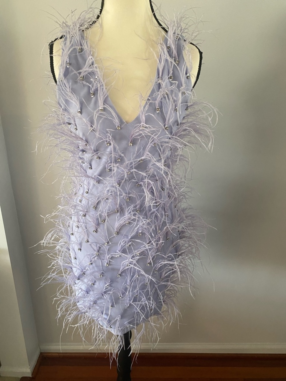 AKIRA Liliac feather dress size small dress